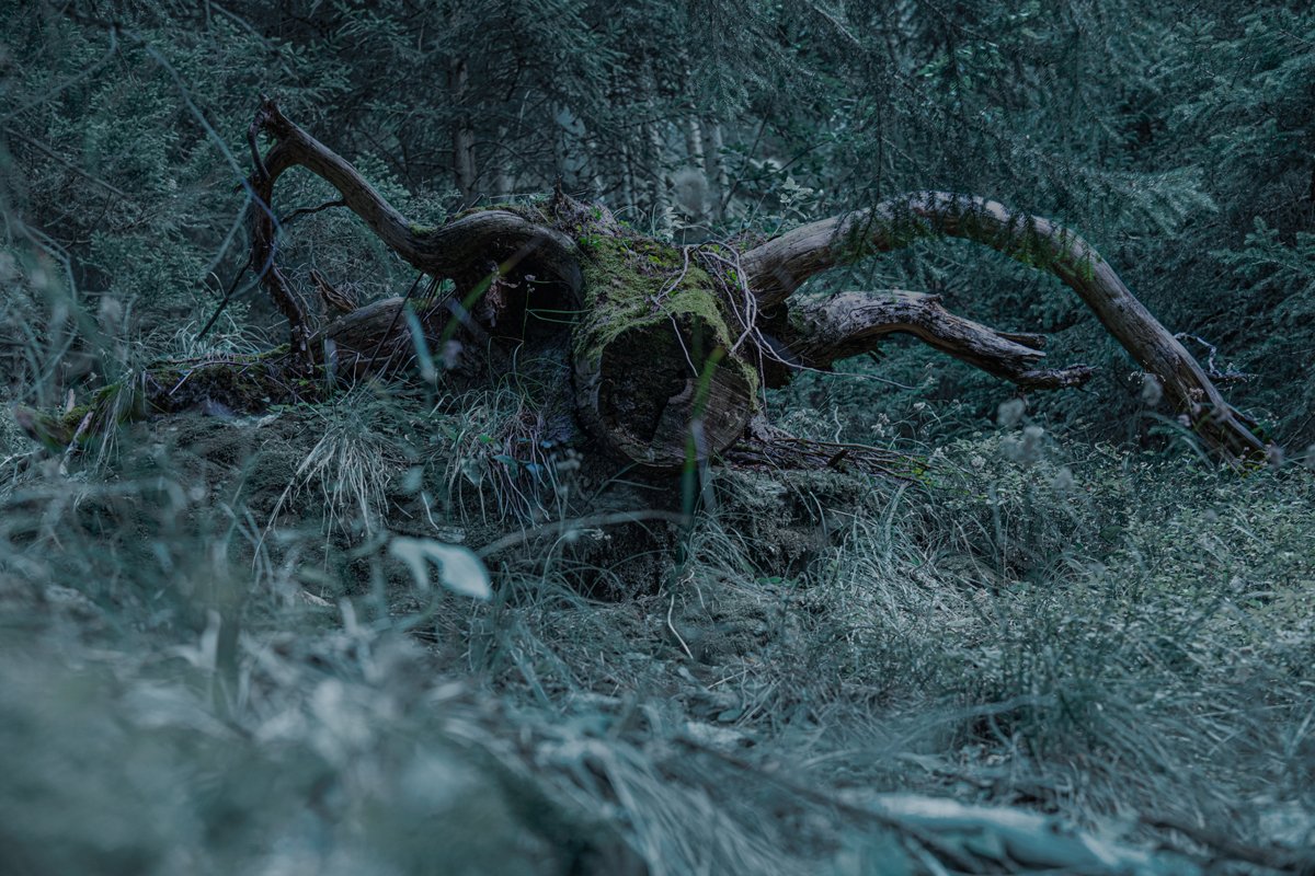 the Lernean Hydra