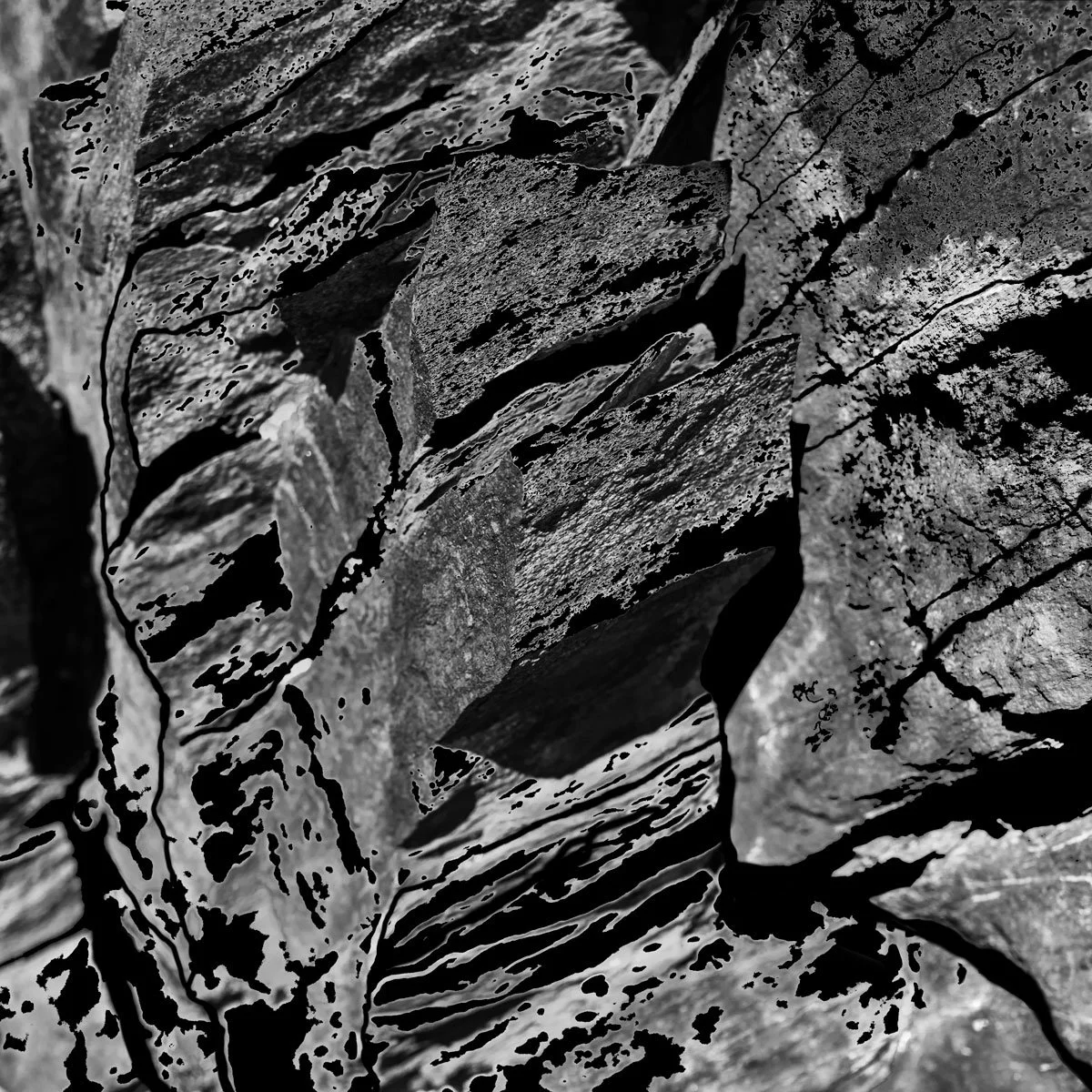 5. gutta cavat lapidem