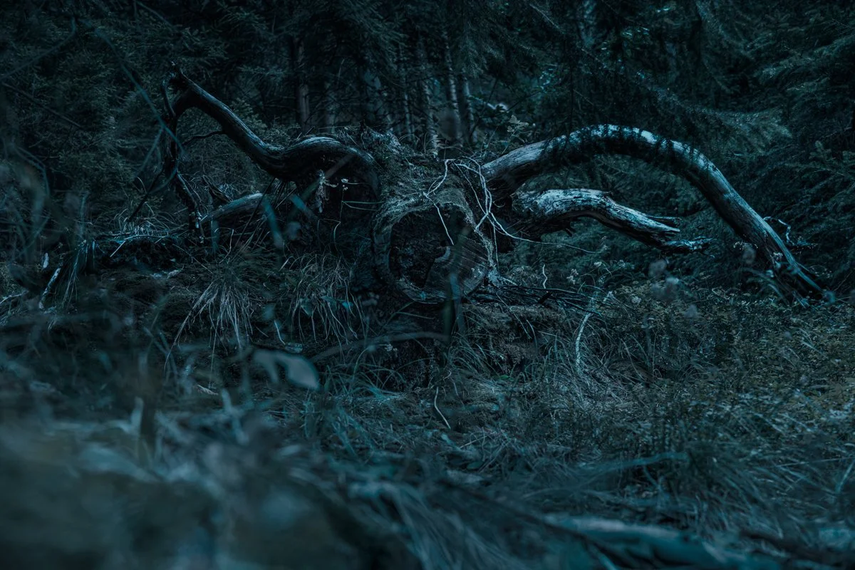 the Lernean hydra