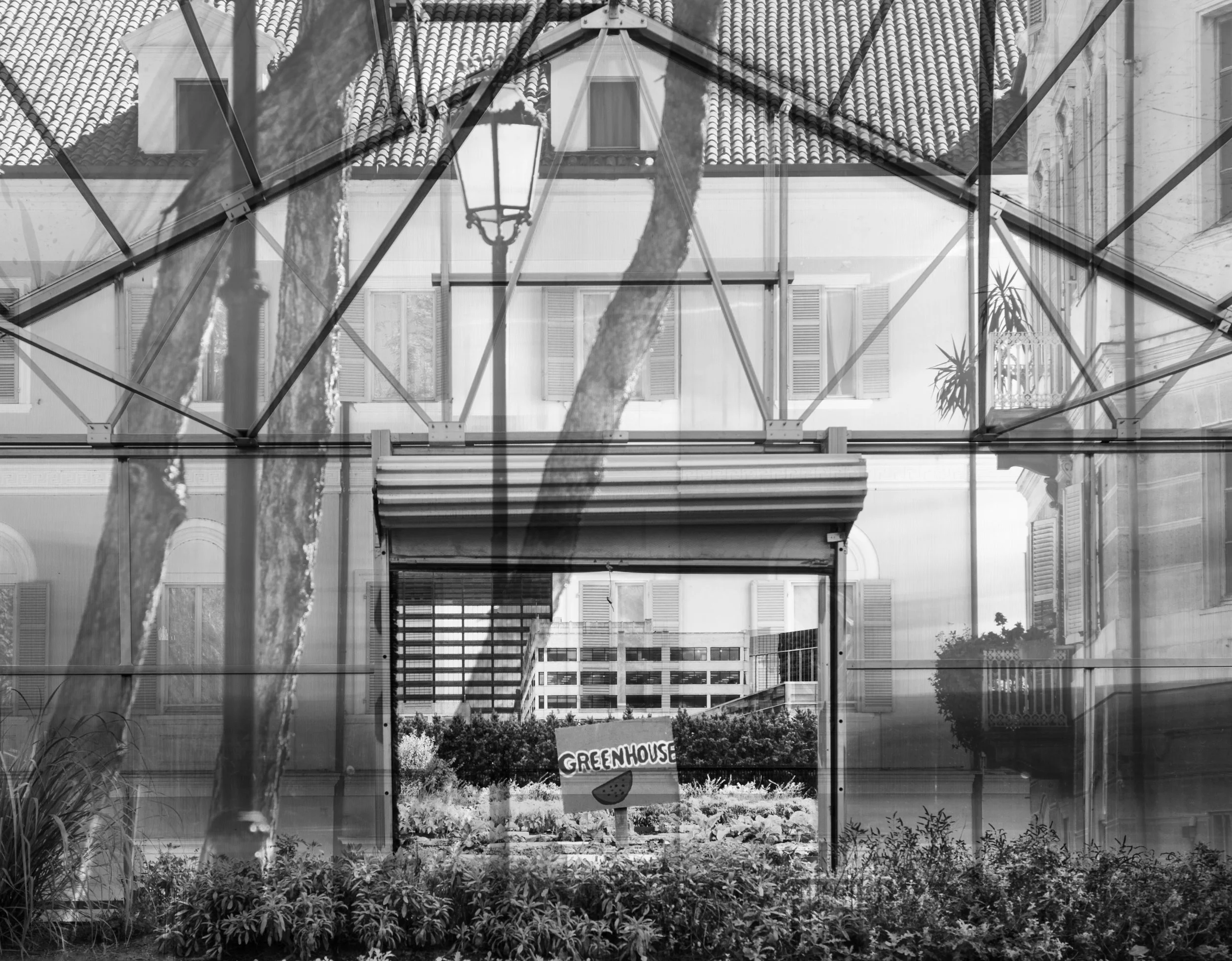 greenhouse