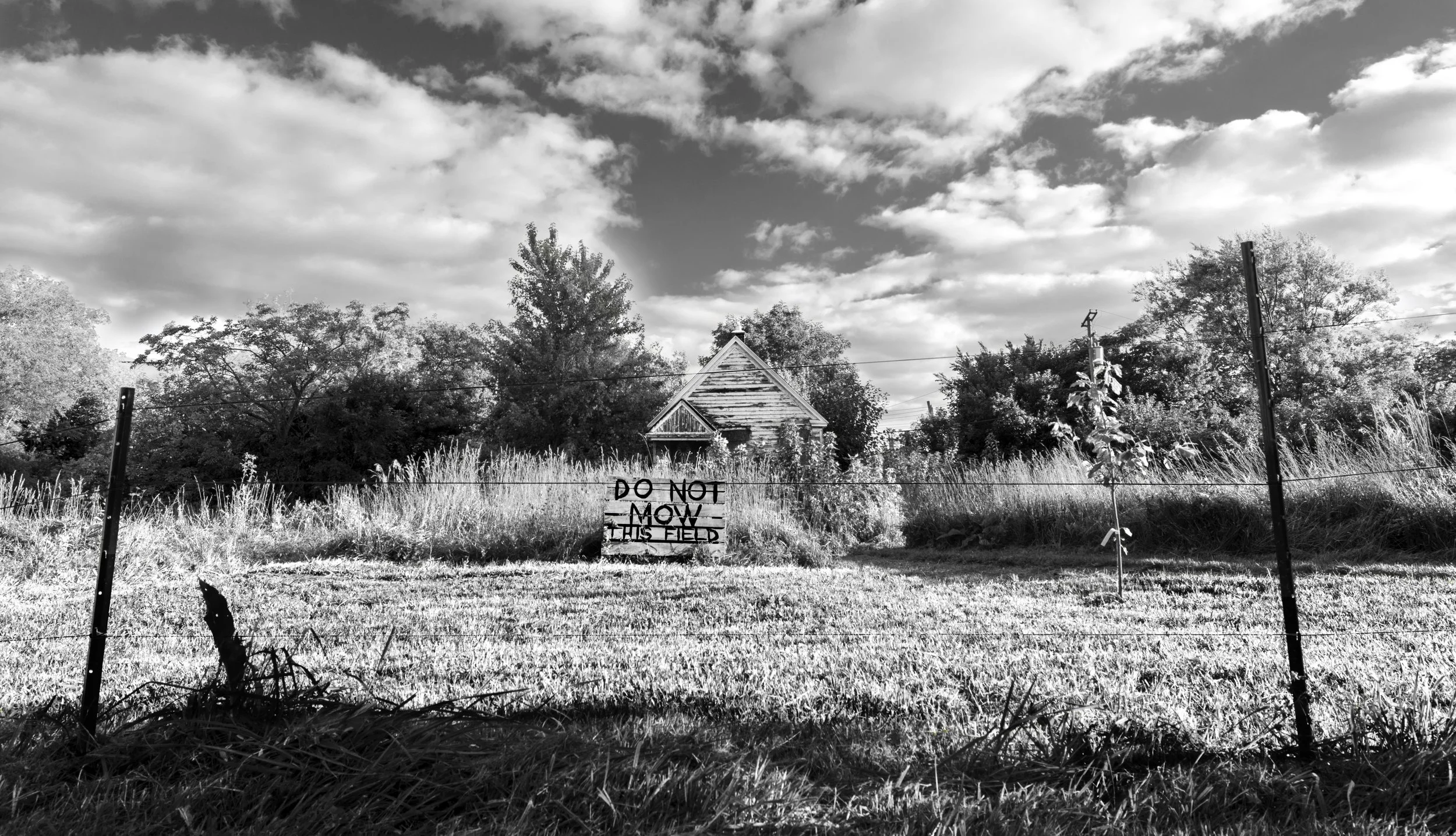 neighborly relations