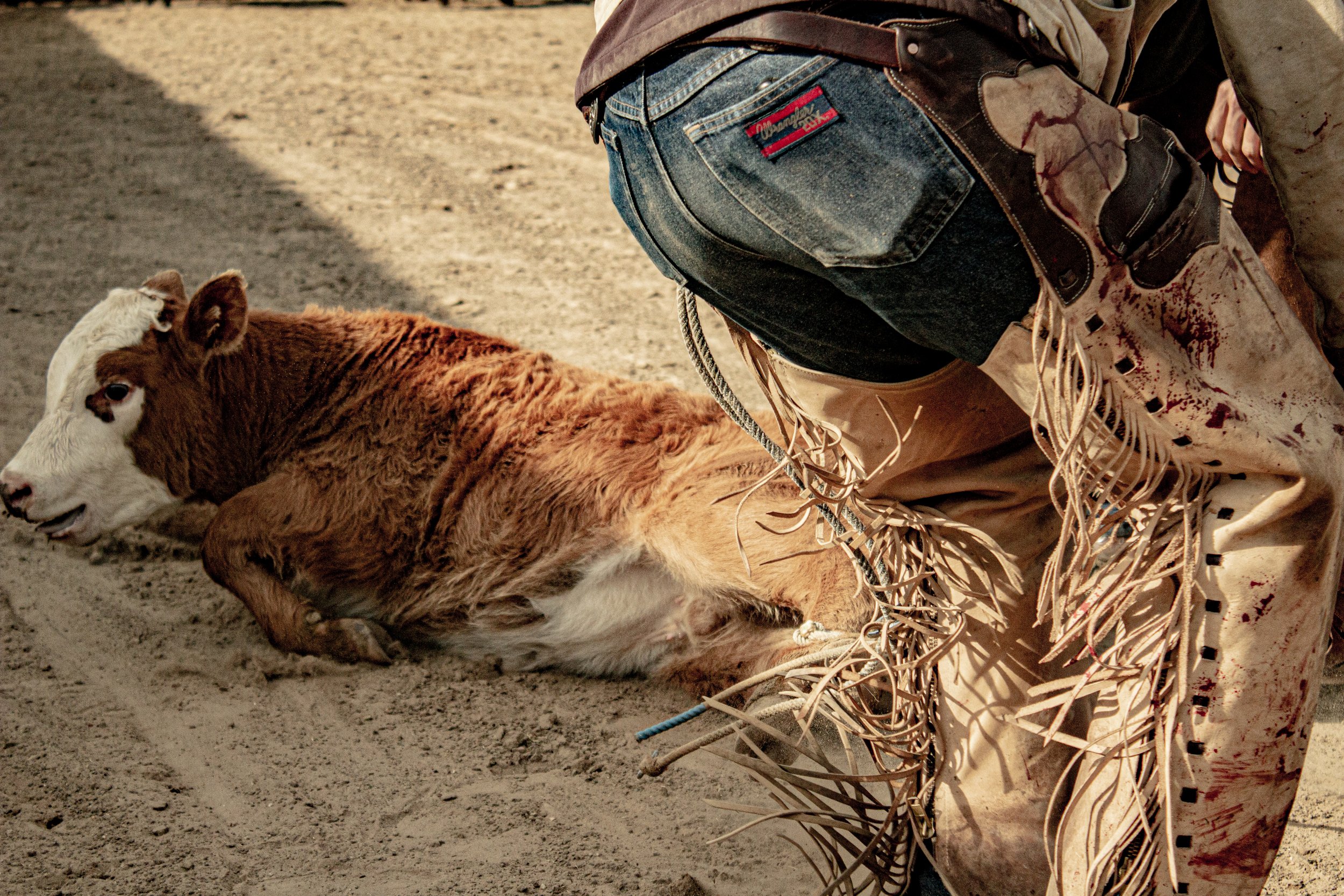 Saunders Ranch Web Images - 2022