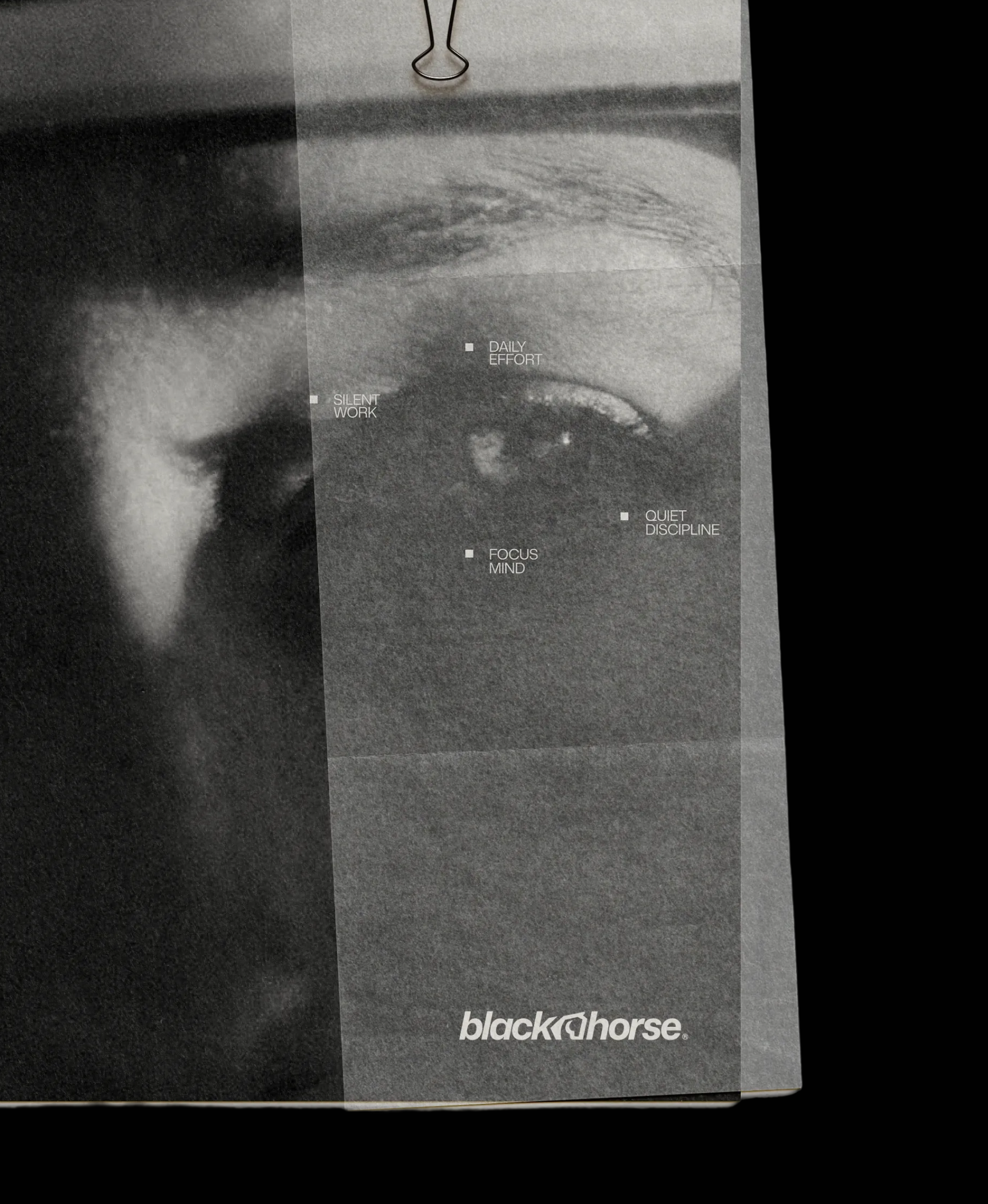 Black Horse — Recovery Lab