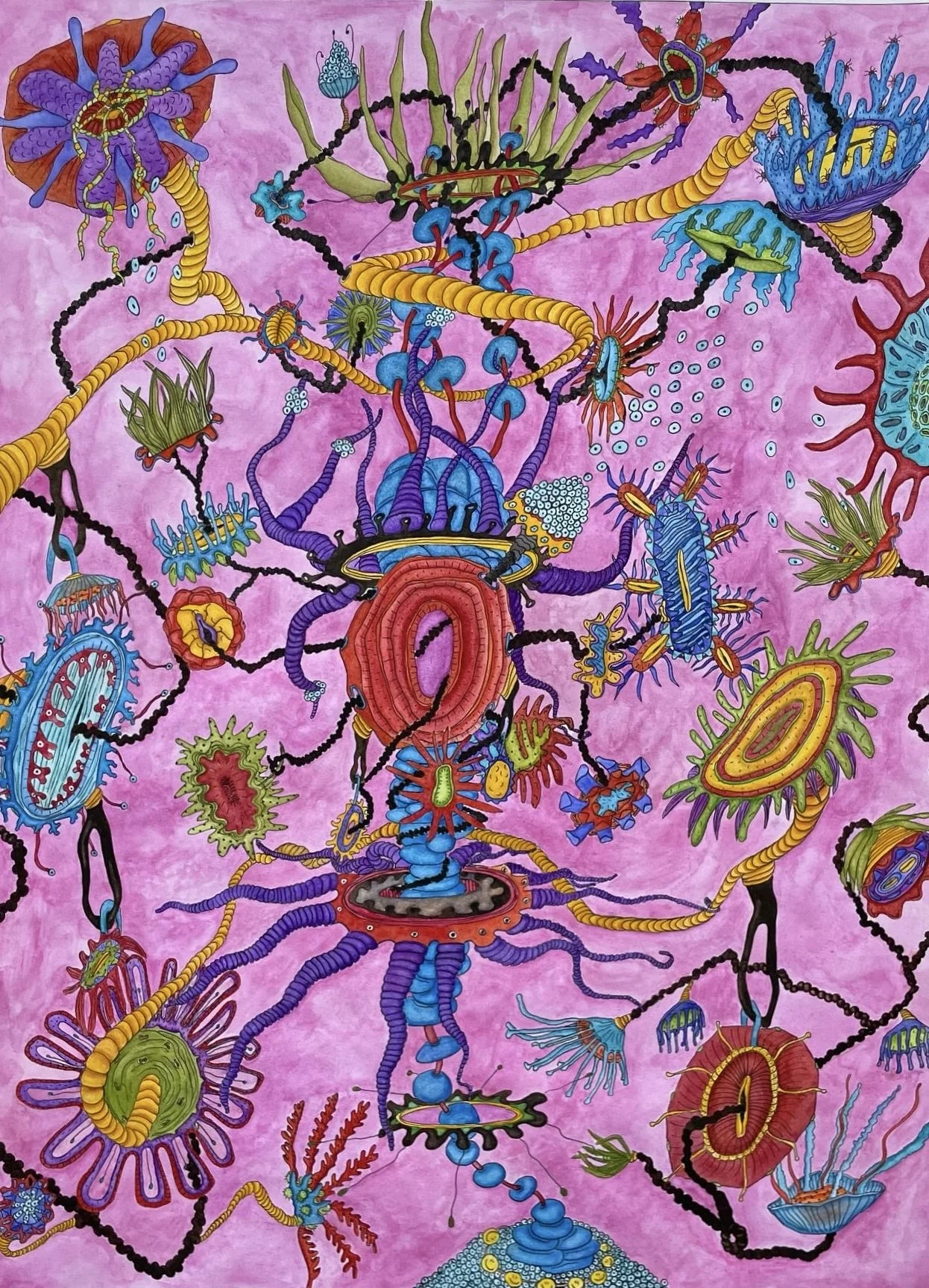 Genitalia-nenome, 18 x 24" watercolor and ink illustration. Part one of two series where Constanza steps into her femininity through an exploration of the female genitalia and different sea anemones--including jellyfish, corals, and sea pens--which o