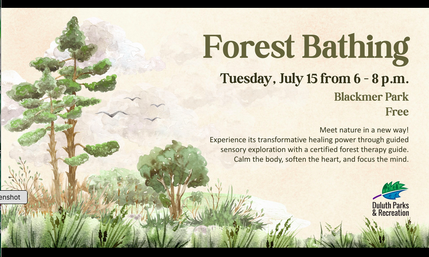Blackmere Park Forest Bathing