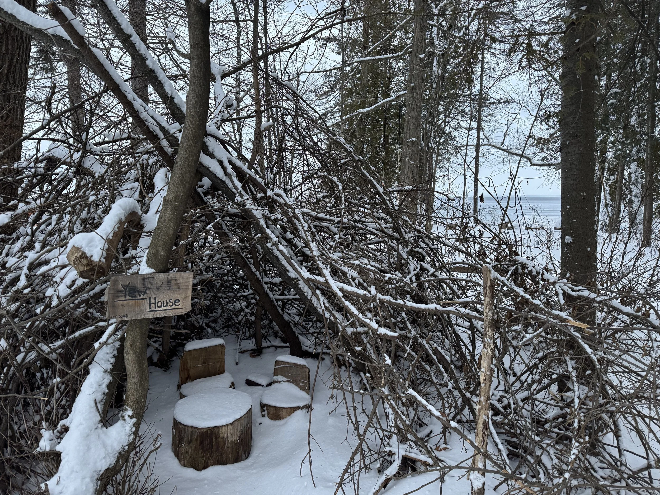 Valentine’s Day Forest Bathing