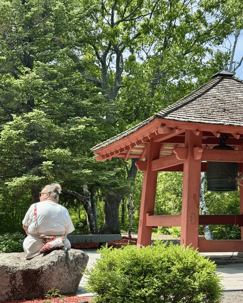 Forest Bathing at Enger Park