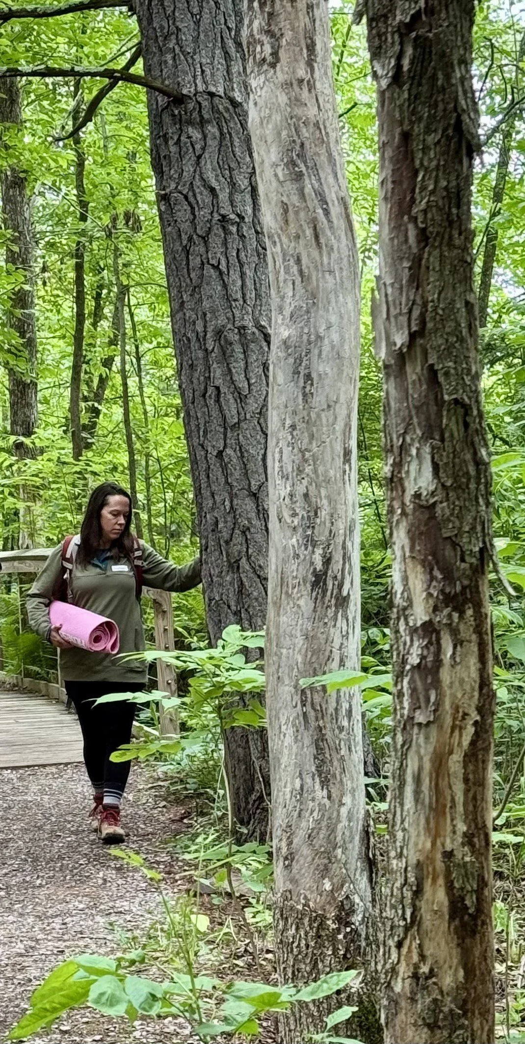 Free Forest Bathing at Chambers Grove