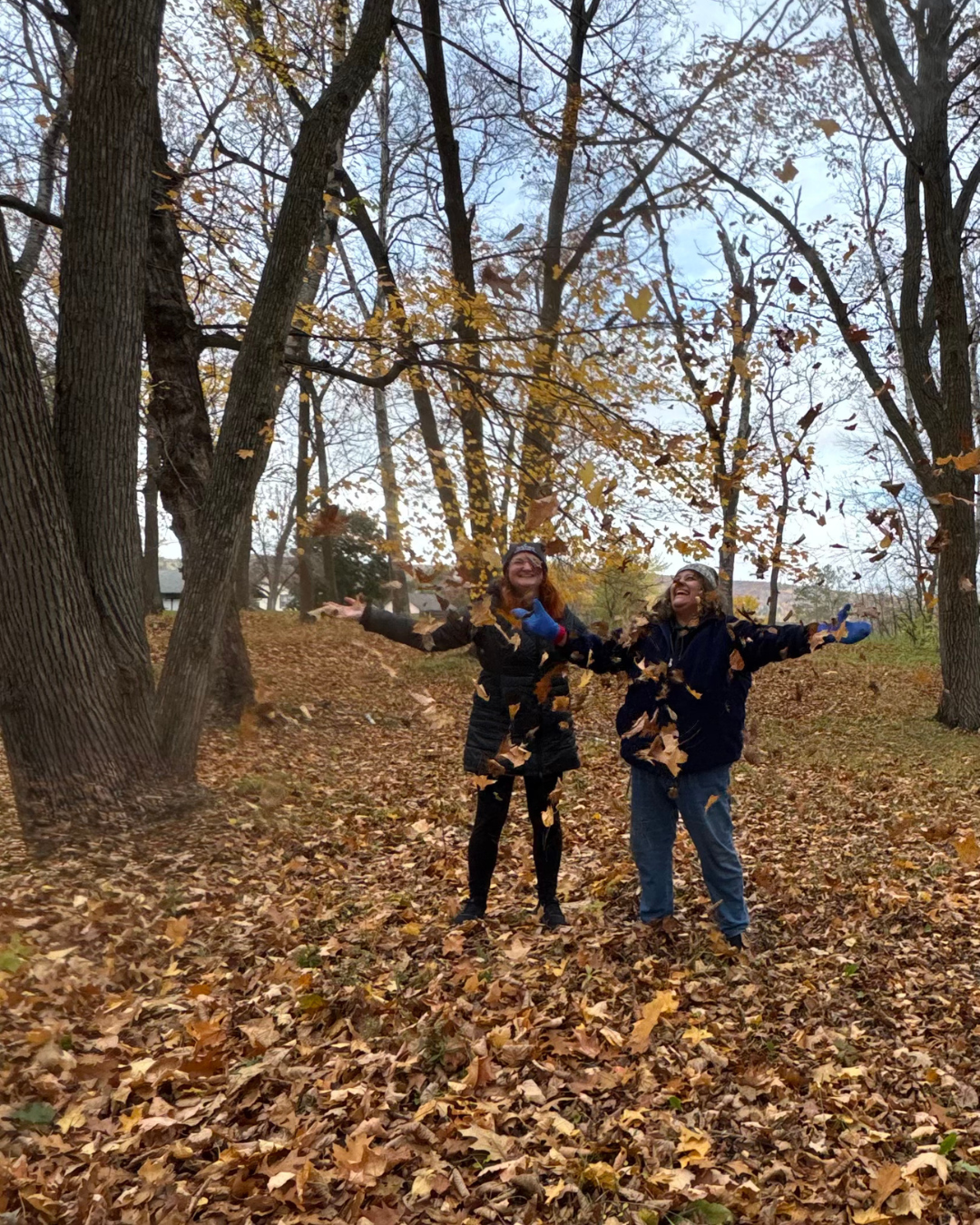 Free Forest Bathing at Chambers Grove 