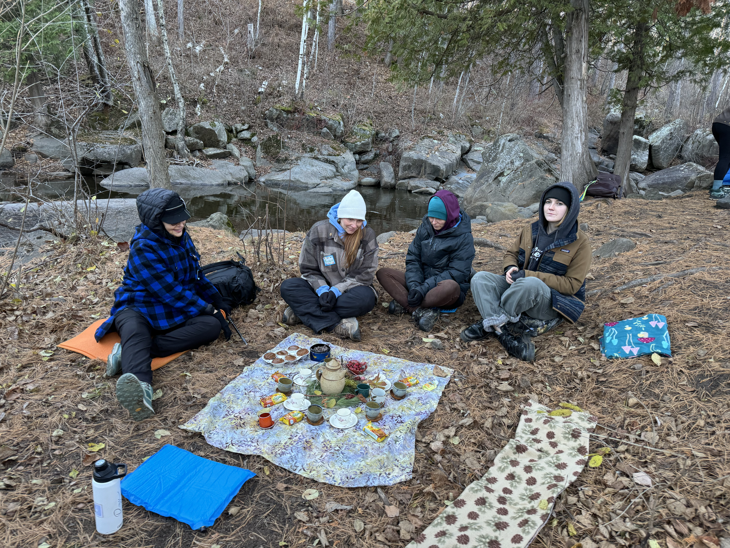 Four people sitting on the ground near a small river, having tea and snacks on a cloth with cups, a teapot, and snacks, surrounded by trees and rocks, in an outdoor forest setting.
