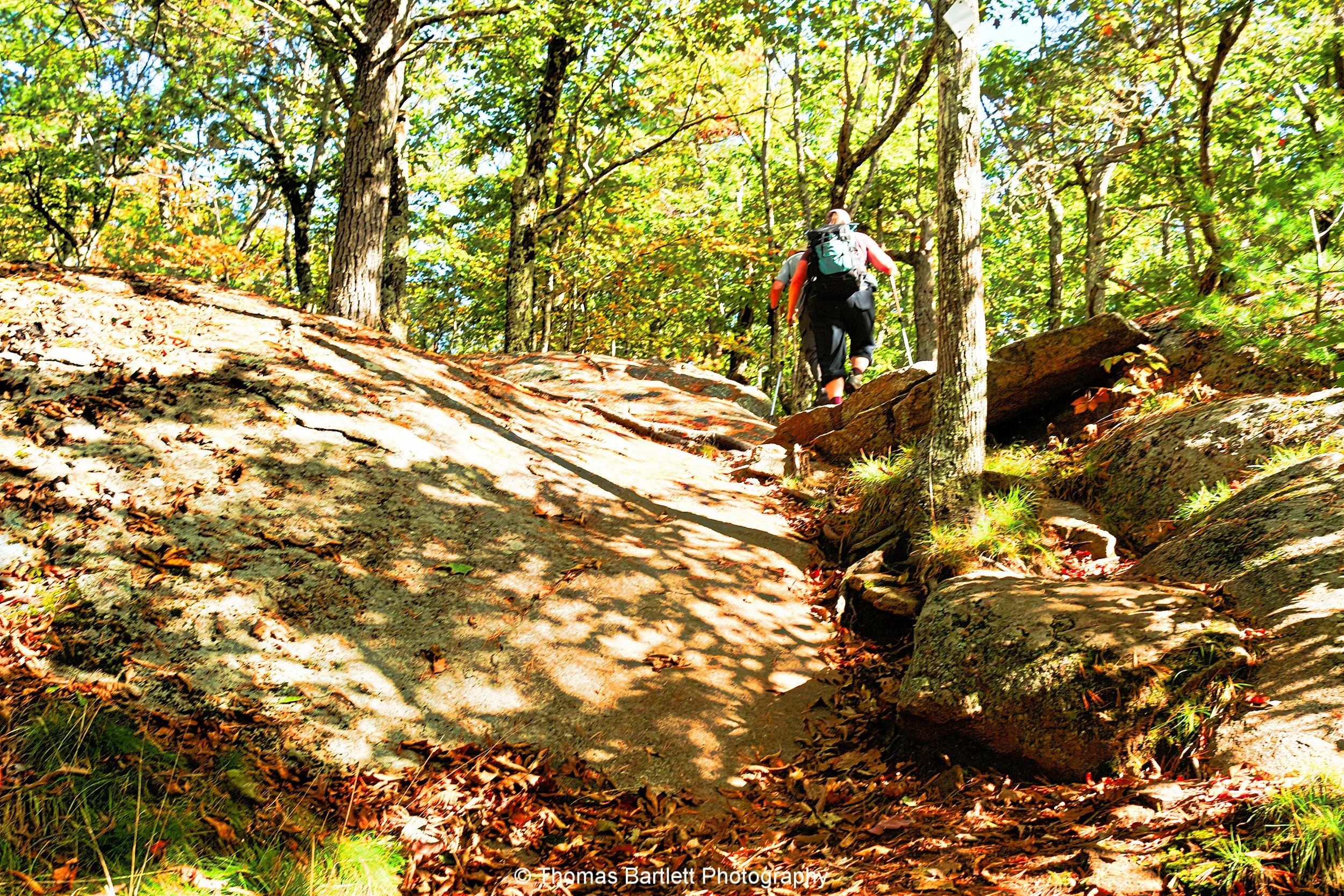 pawtuckaway climb.jpeg