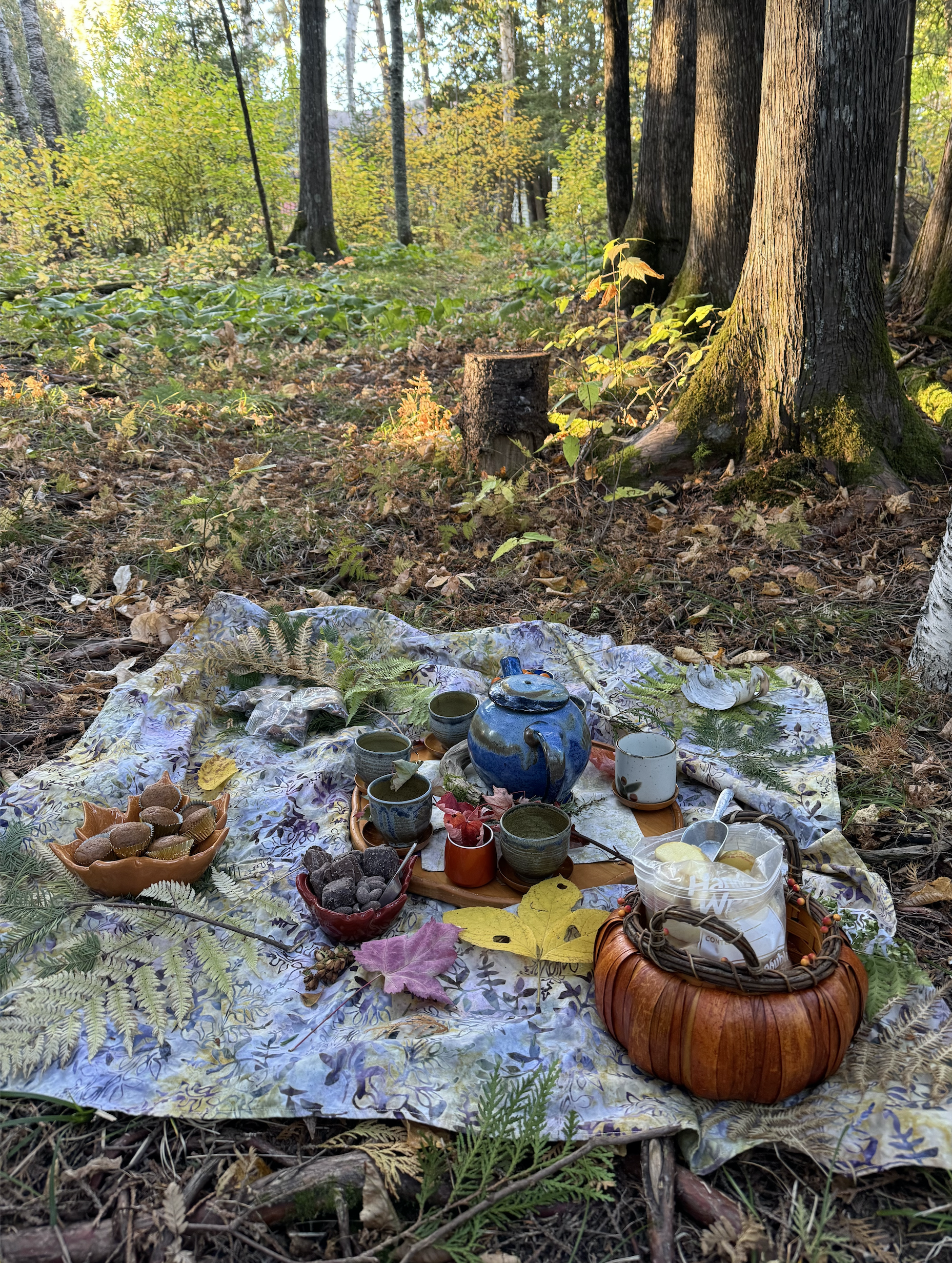 A picnic setup in a forest with a blanket, a teapot, cups, bowls with snacks, and decorative items surrounded by trees and foliage.