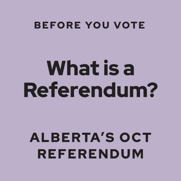 Before You Vote: What is a Referendum