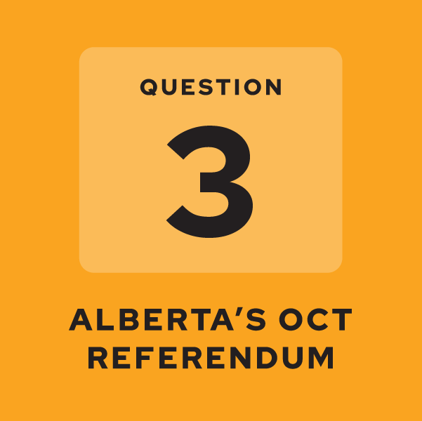 Before You Vote: Wait Period for Social Support