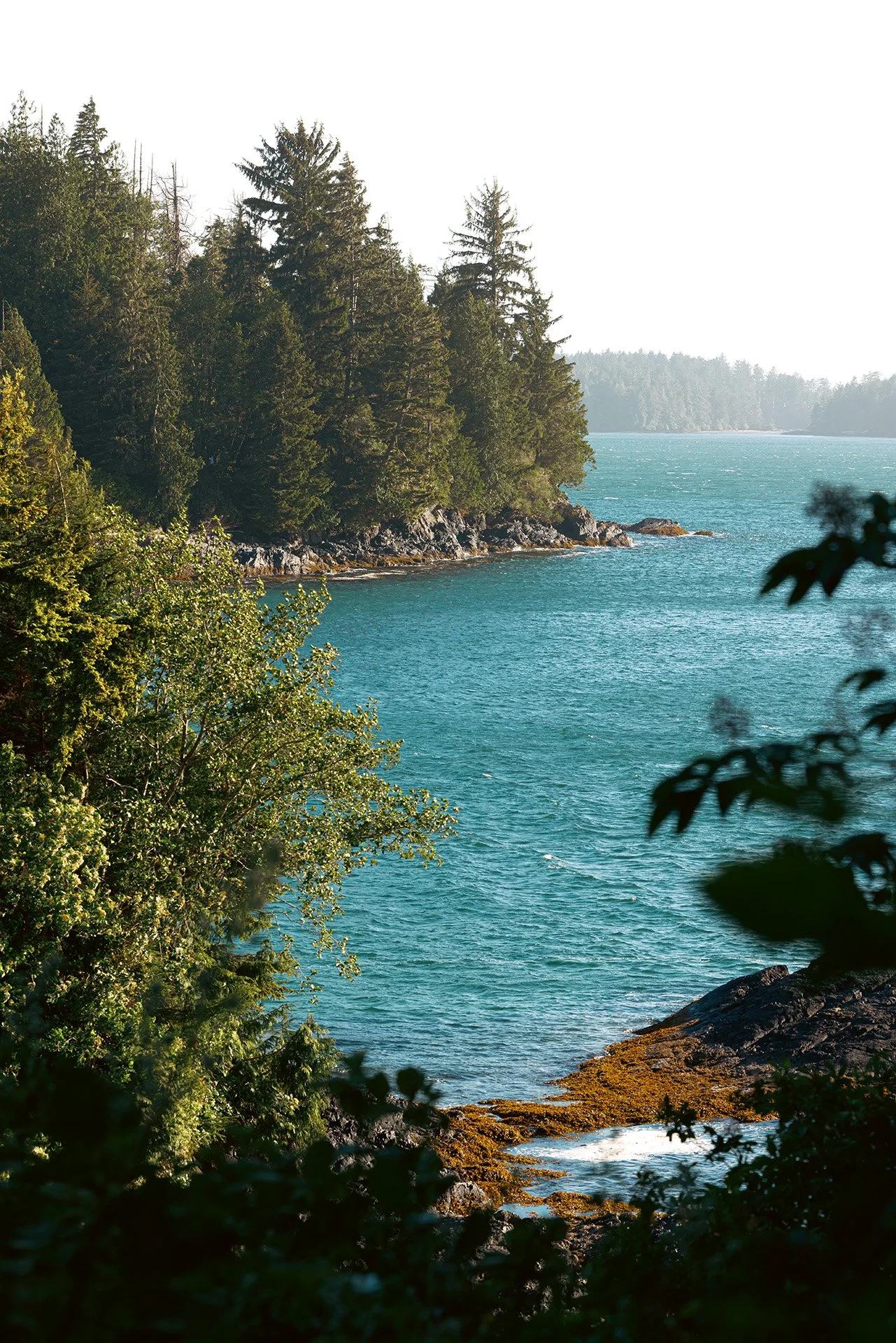 Tofino Ripper - Location 1.jpg