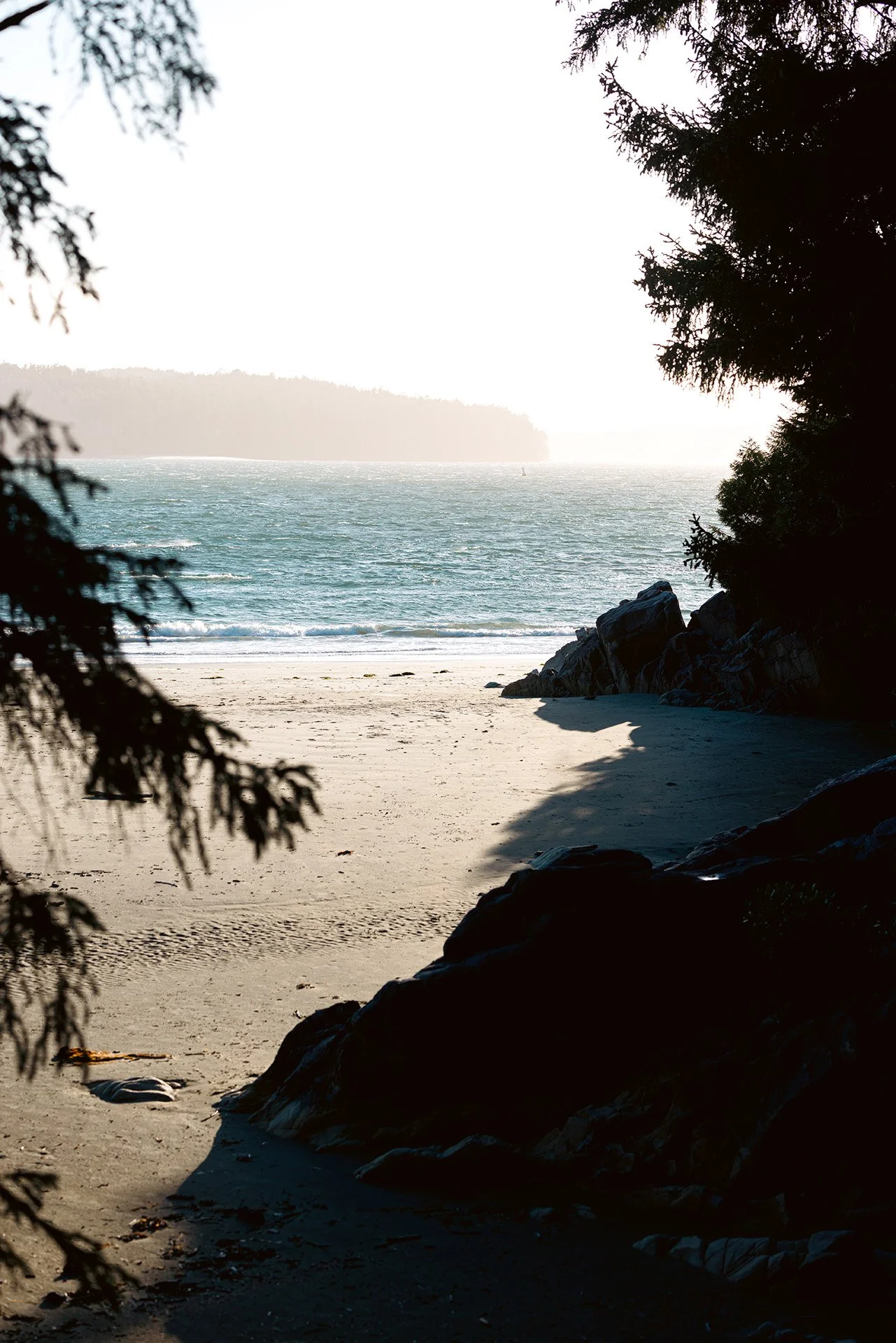 Tofino Ripper - Location 2.jpg
