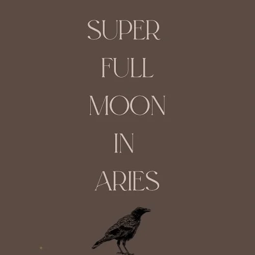 Happy Super Full Moon, lovelies 🤎