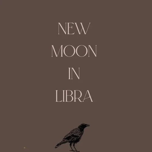 Happy New Moon and Autumn Newsletter launch day!