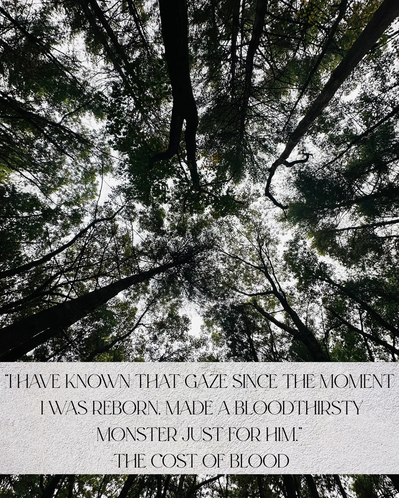 A little snippet from my current WIP. 
Happy Friday!