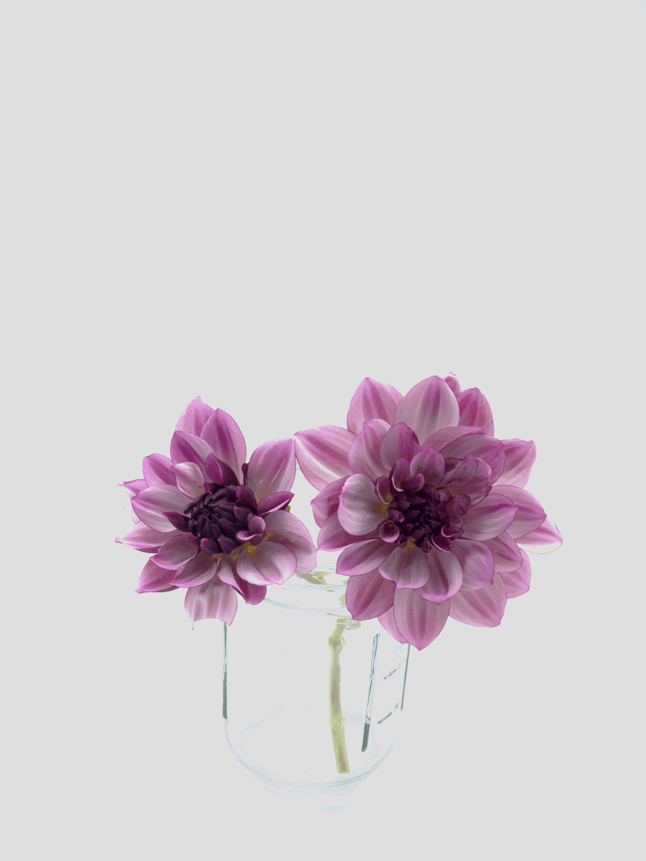 Creme De Cassis