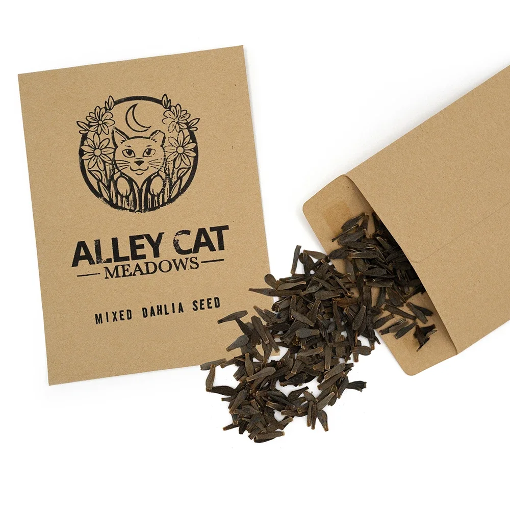 Mixed Parent Dahlia Seeds (25 seeds)