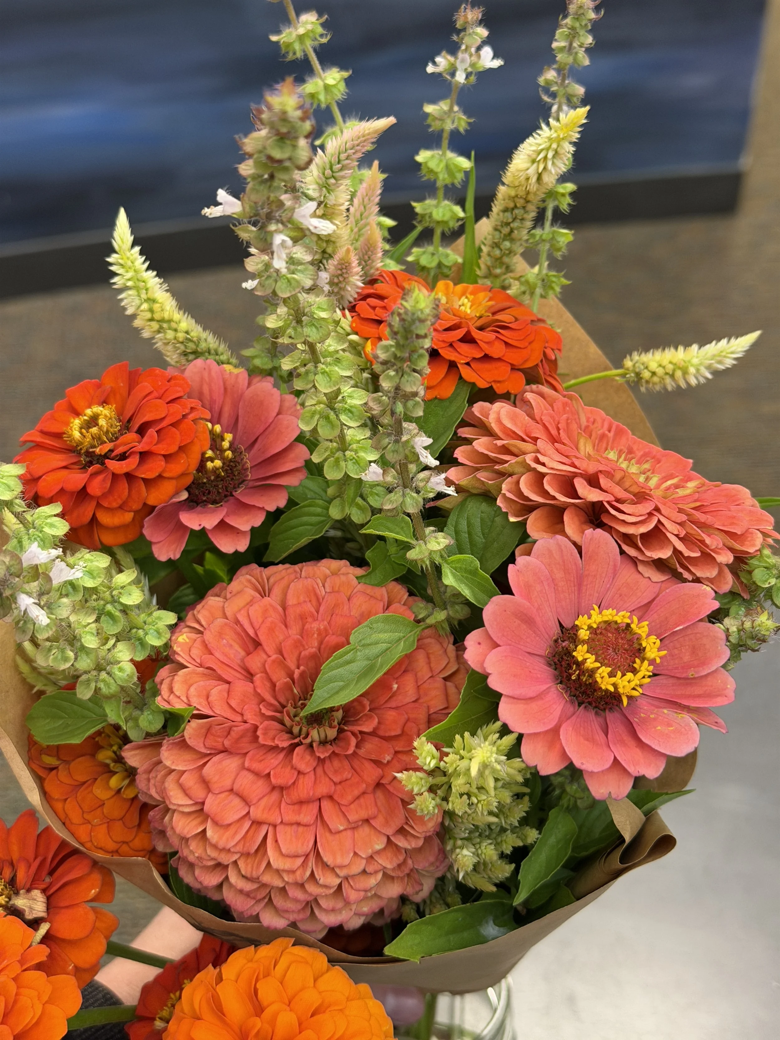 The Whisker - Small Floral Arrangement