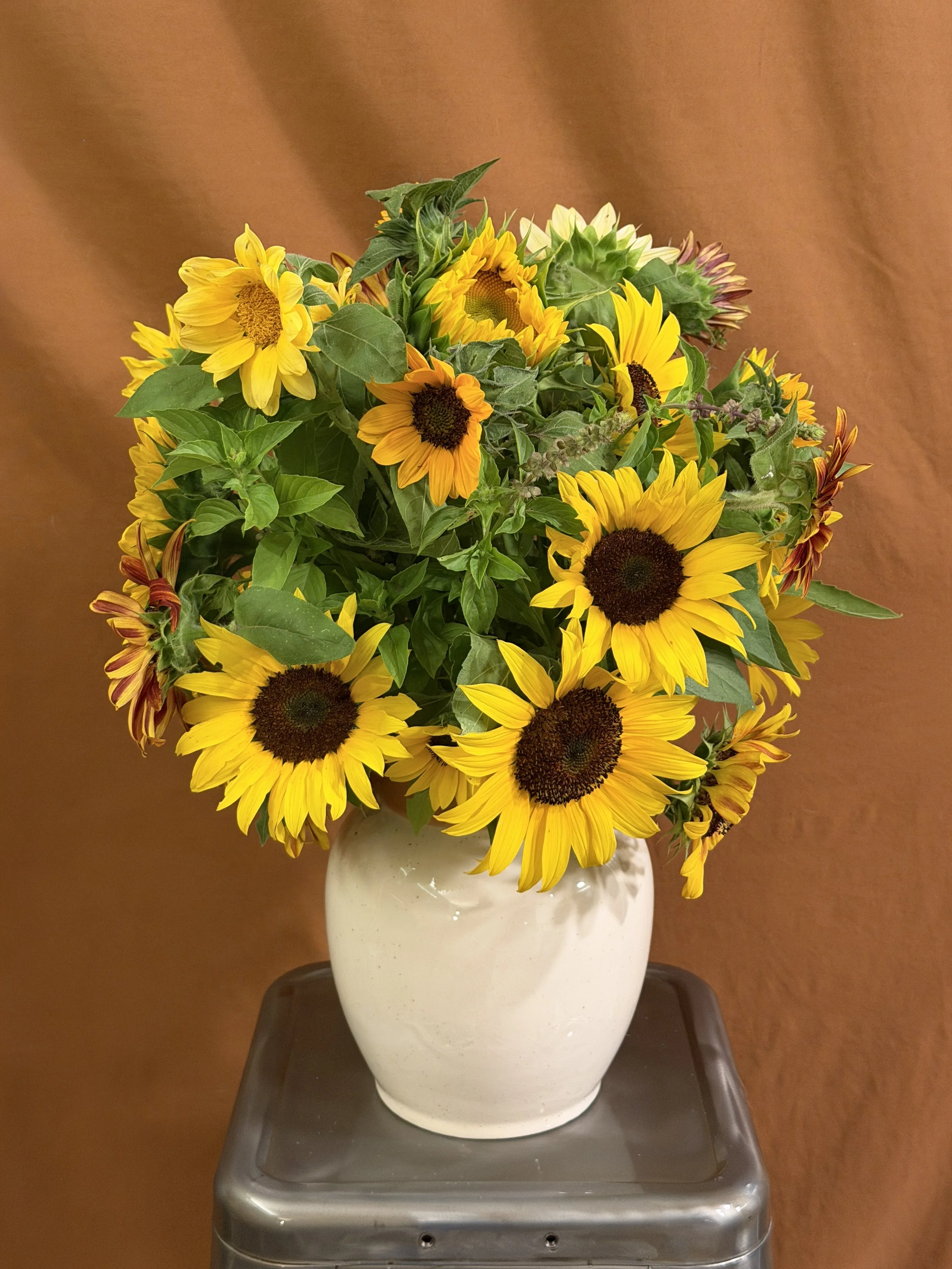 The Biscuits - Large Floral Arrangement