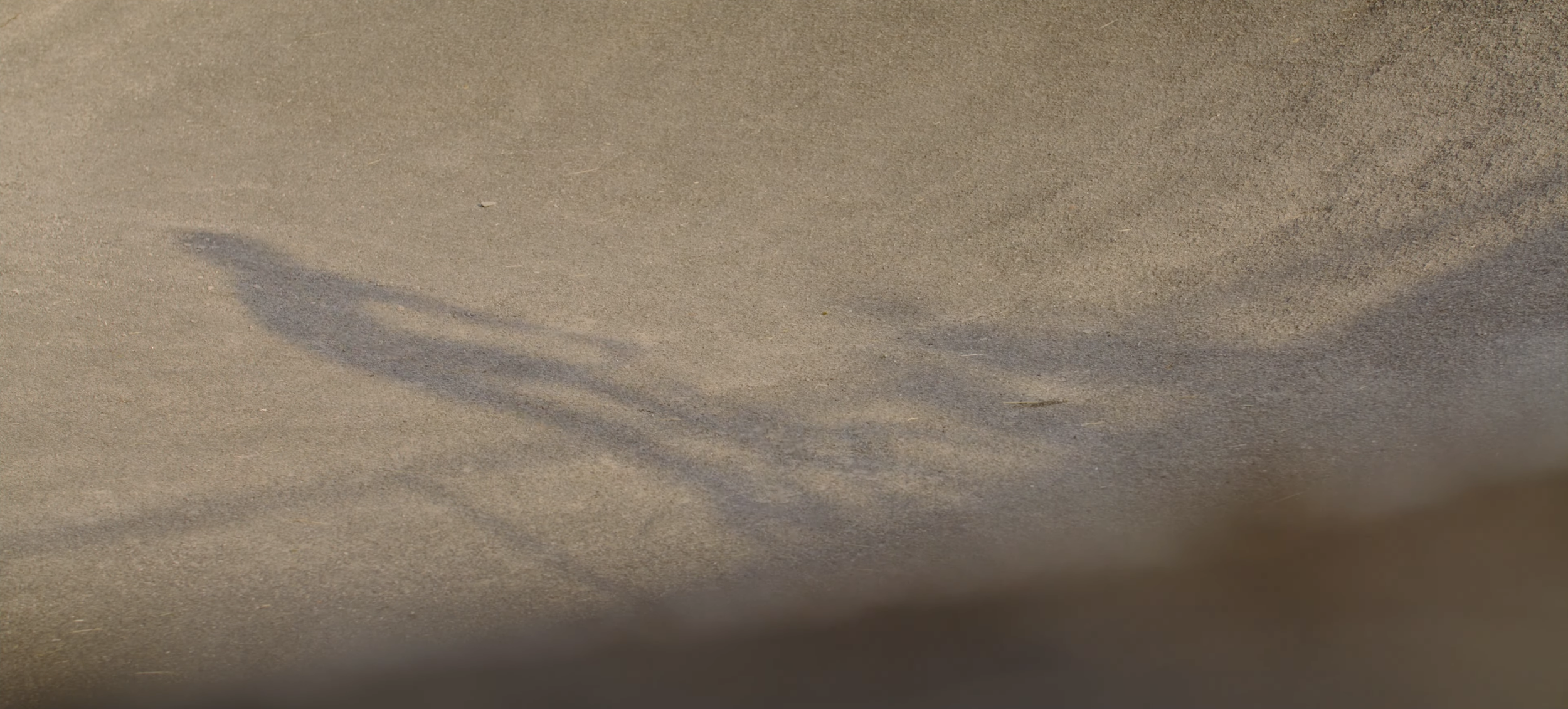 Screenshot 2026-02-25 at 15.47.07.png