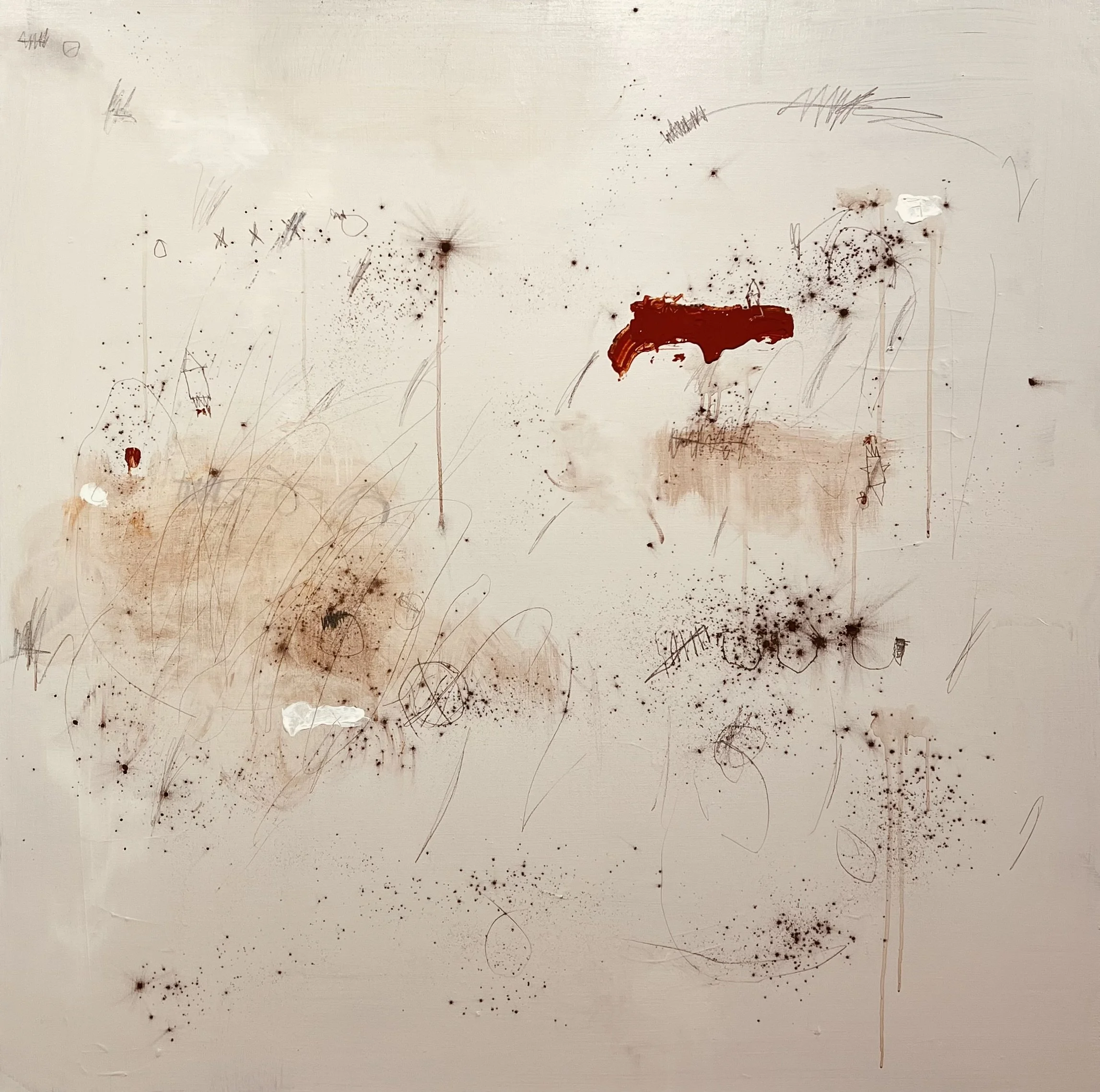  48" x 48" Dirt, pigment powder, charcoal, acrylic, coffee and graphite on canvas.  $3,800.00 