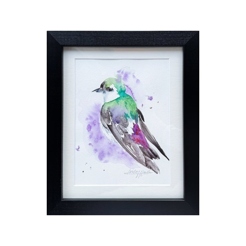 Violet-green Swallow