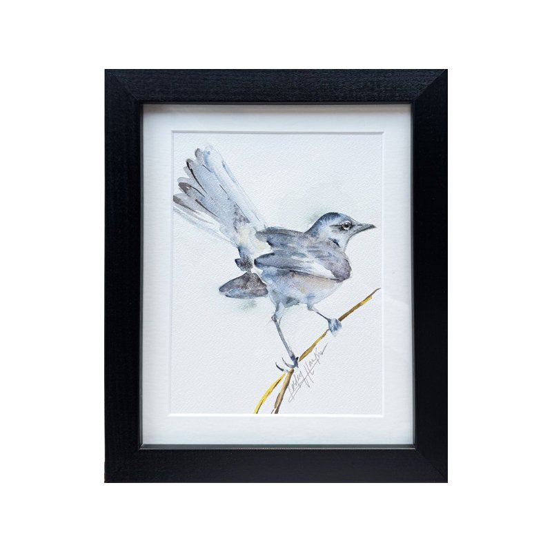Florida Mockingbird