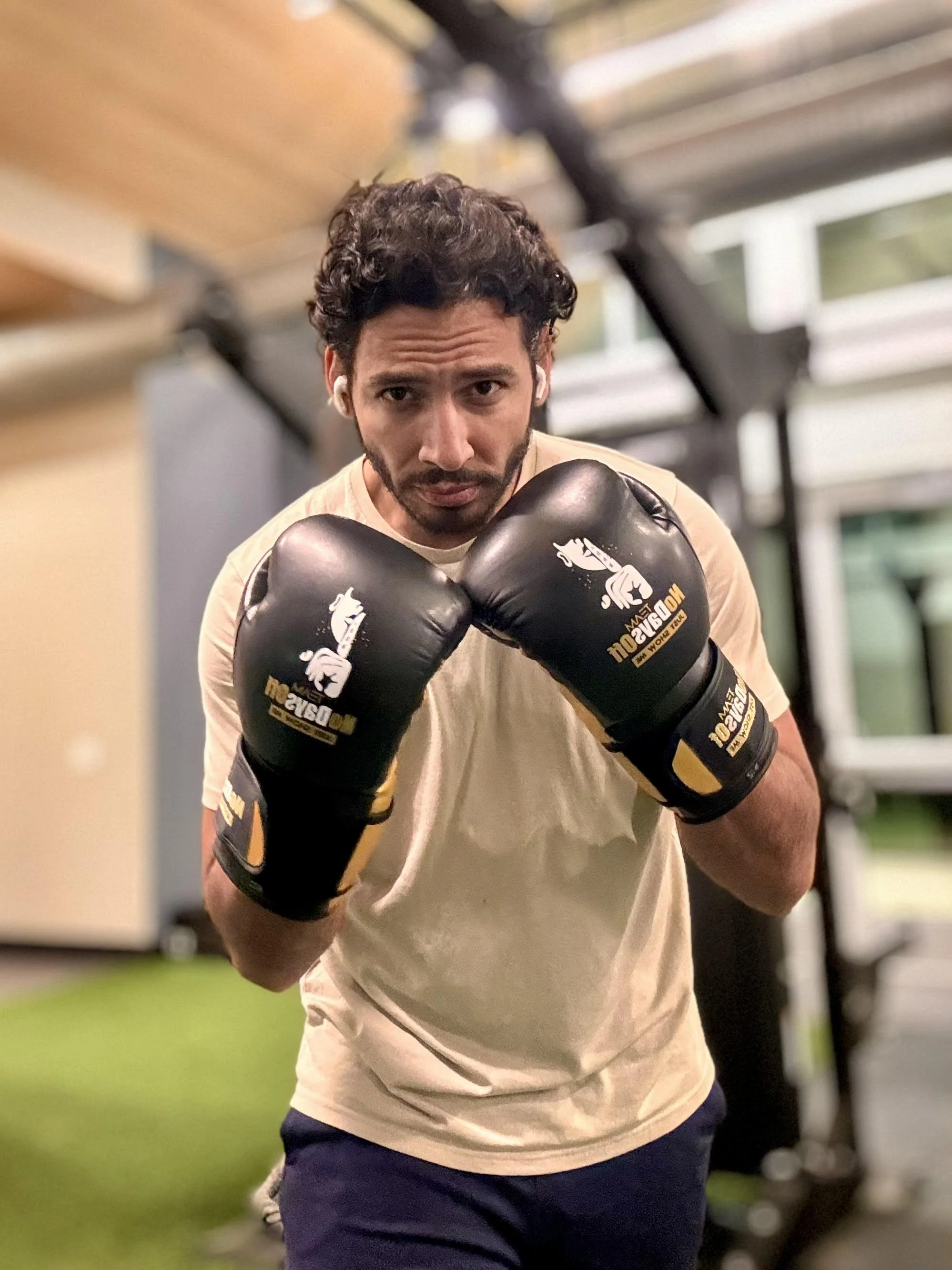 NoDaysOff Boxing Gloves (Official Model).jpg