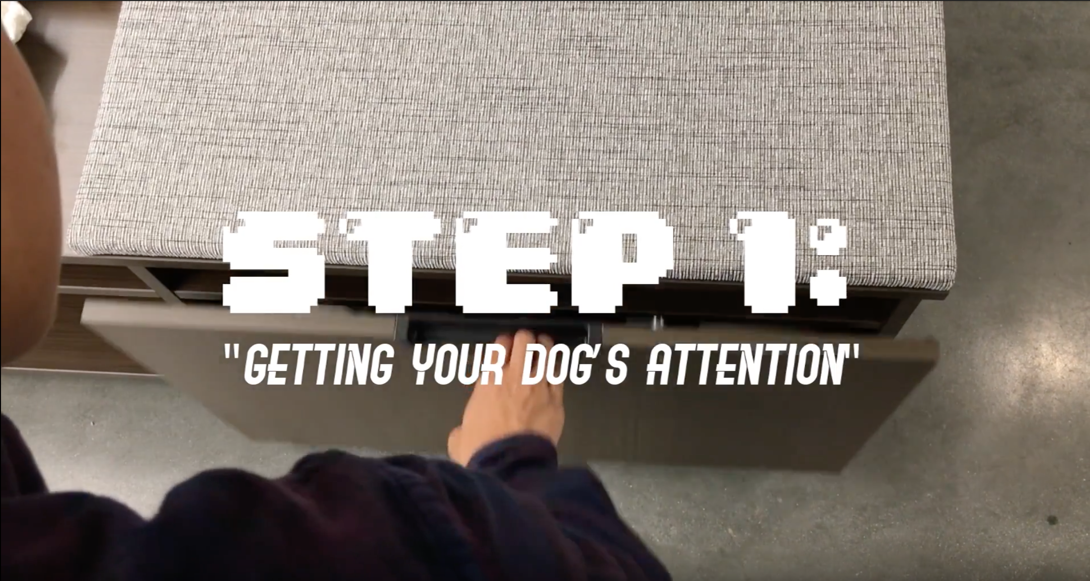 Screen Shot 2018-12-10 at 4.58.48 AM.png