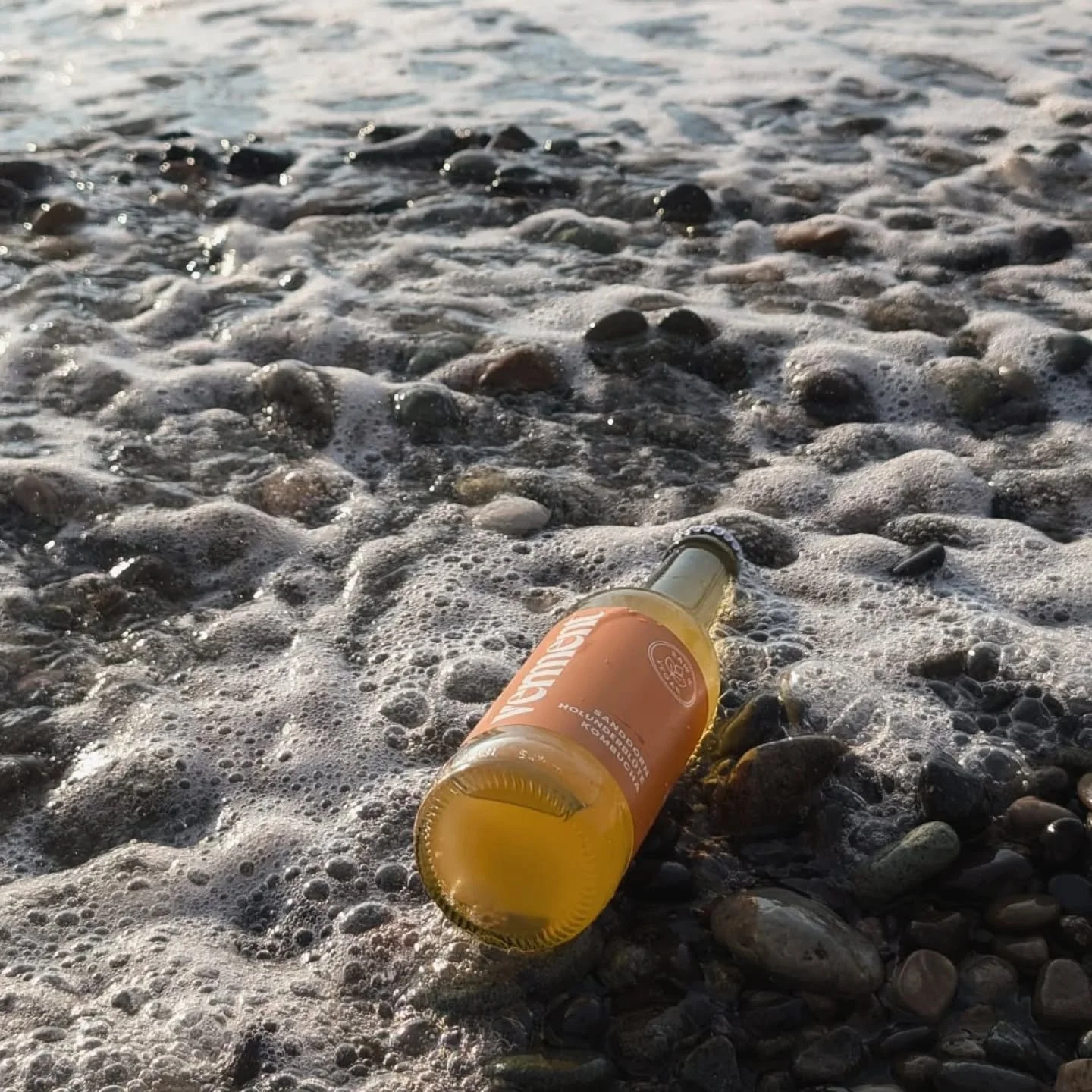 Sea, kombucha, and loved ones ❤️