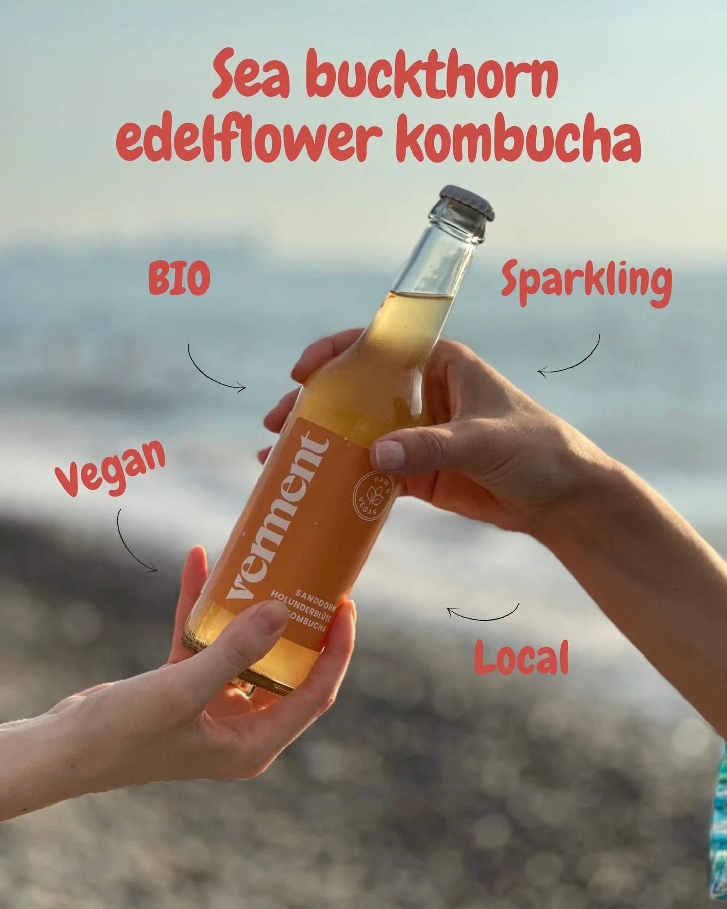 Did you know that sea buckthorn has way more vitamin C than oranges? 🍊💪 Not just a little &mdash; it&rsquo;s 8 to 16 times more! Crazy, right? 🤯
Swipe right 👉 and discover the sparkling combo of Sea Buckthorn &amp; Elderflower &mdash; in our onli