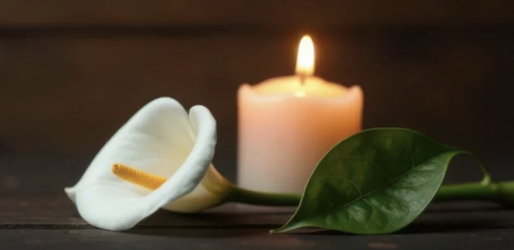 Screenshot 2026-03-24 at 3.33.51 PM.png