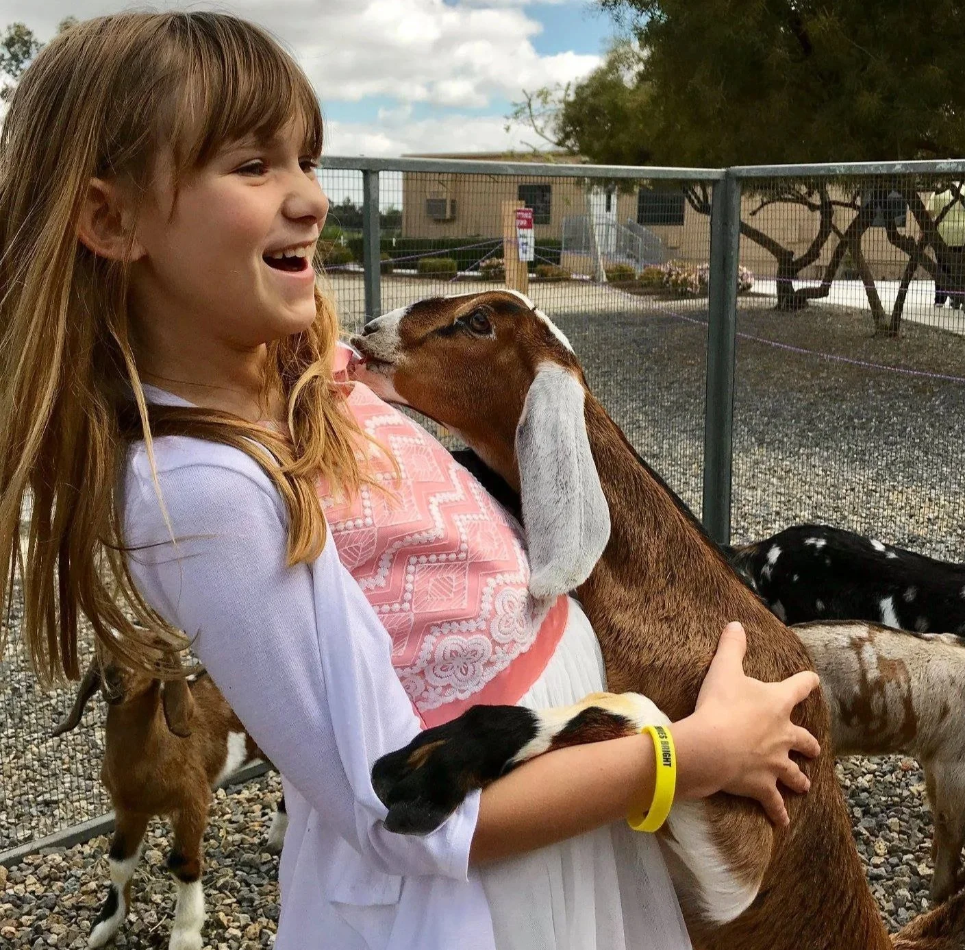 Easter Sunday Sunrise Service, Temecula (Copy)