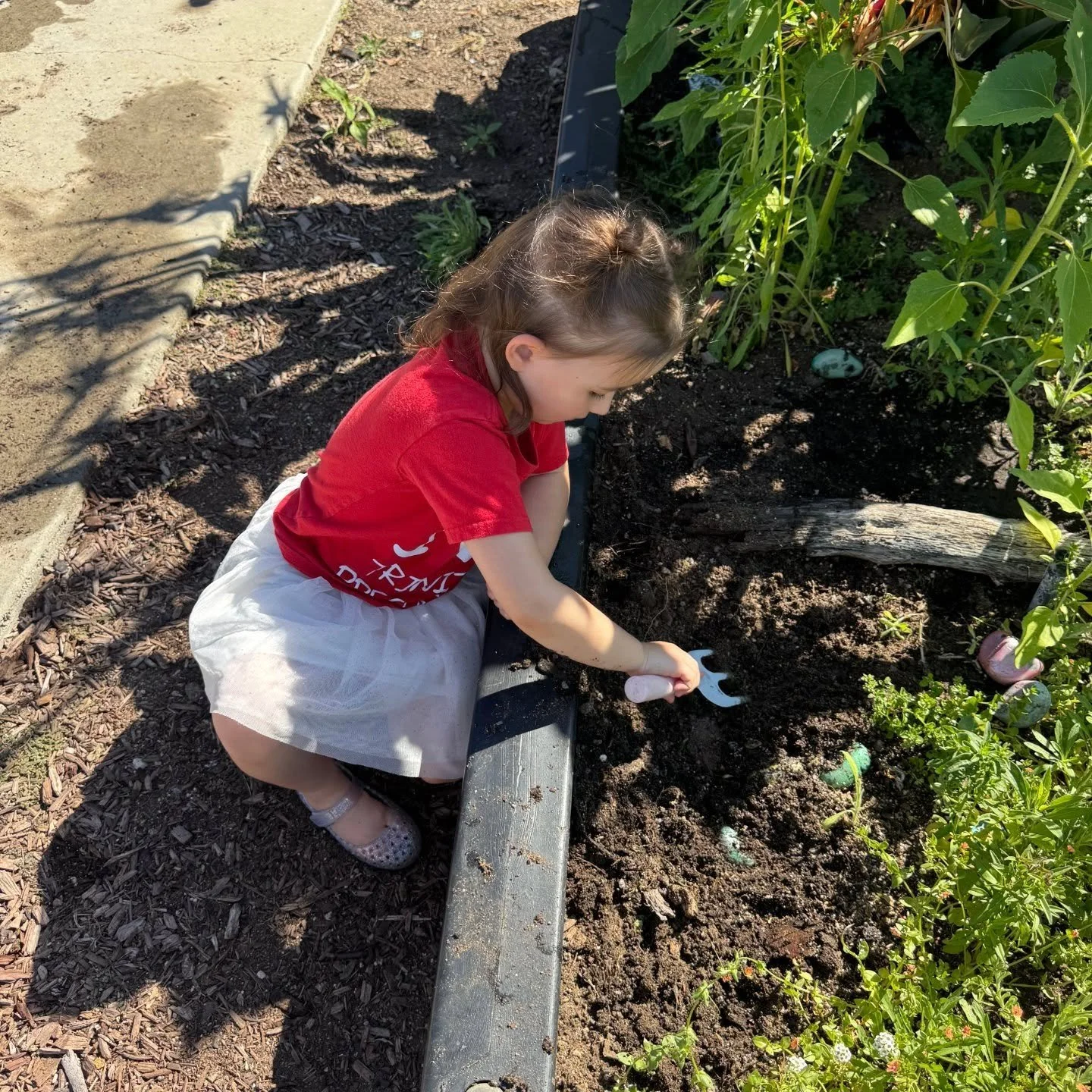 Little gardeners with big hearts planting seeds. #nature #preschoolactivities #springgardening 👩&zwj;🌾🎍🪏❤️