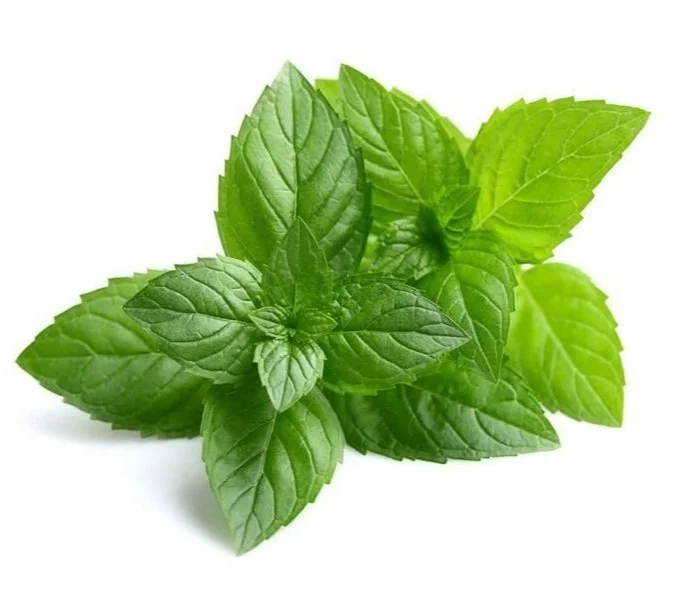 Benefits of Peppermint