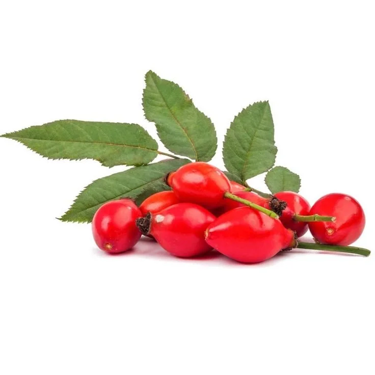 Rosehip Oil