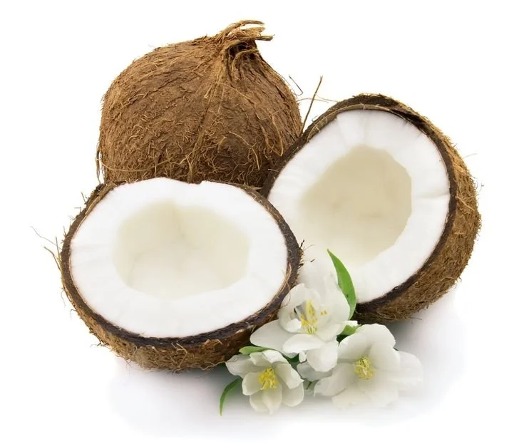 Coconut Oil (Fractionated)