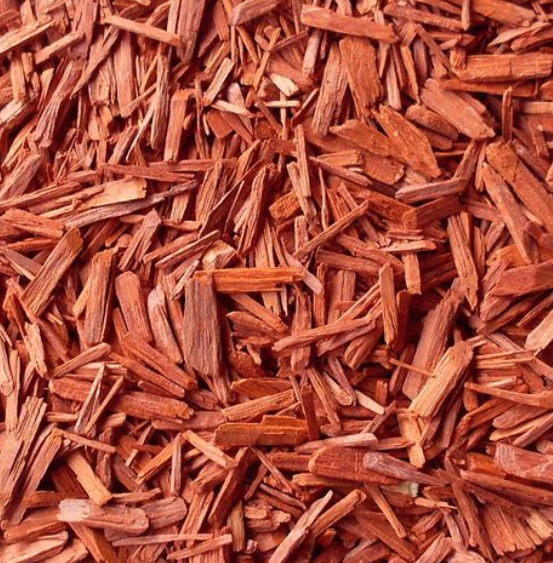 Sandalwood Essential Oil Roll-On