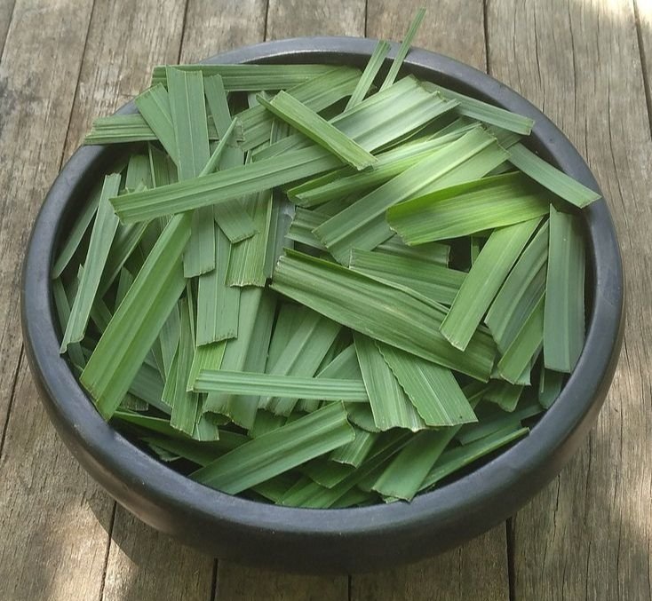 Lemongrass Essential Oil