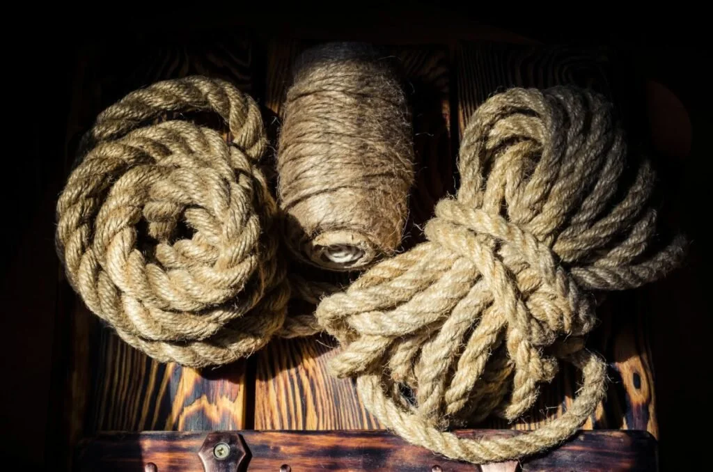 Energetic Cords: Science, Spirit, and the Invisible Tethers of the Heart