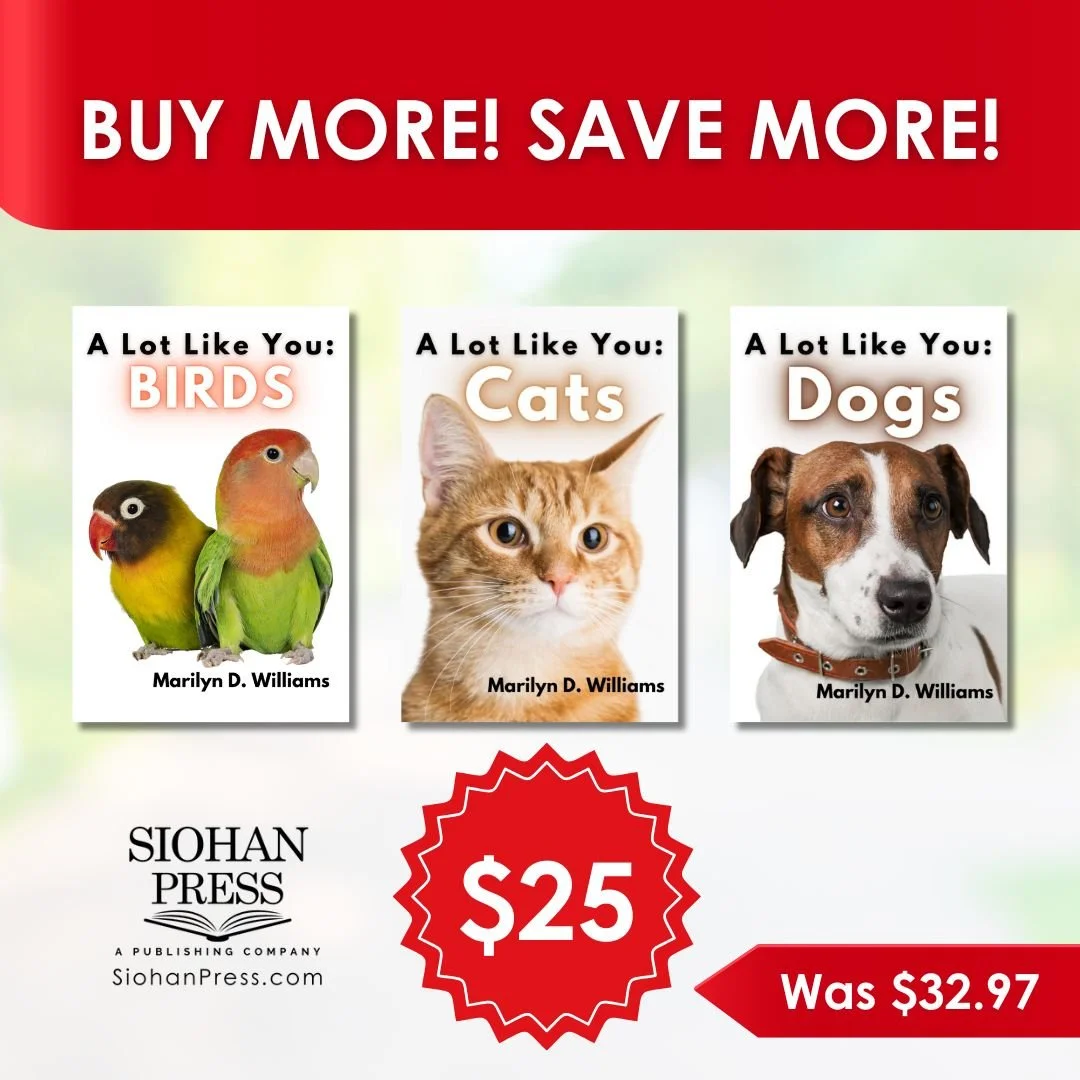 A Lot Like You Bundle Buy.jpg