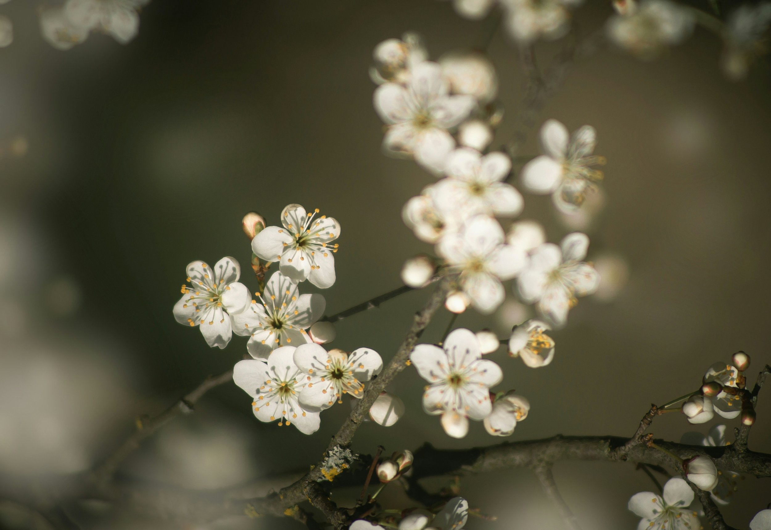 Awakening Our Stories | A Guided Breathwork &amp; Storytelling Workshop