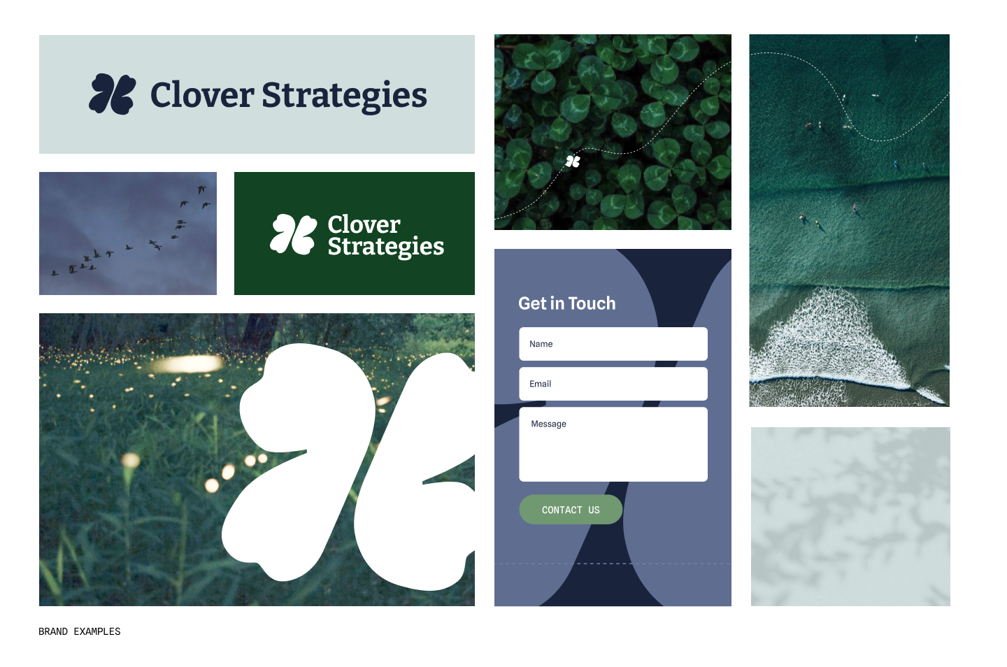 Brand Snapshot (1).png