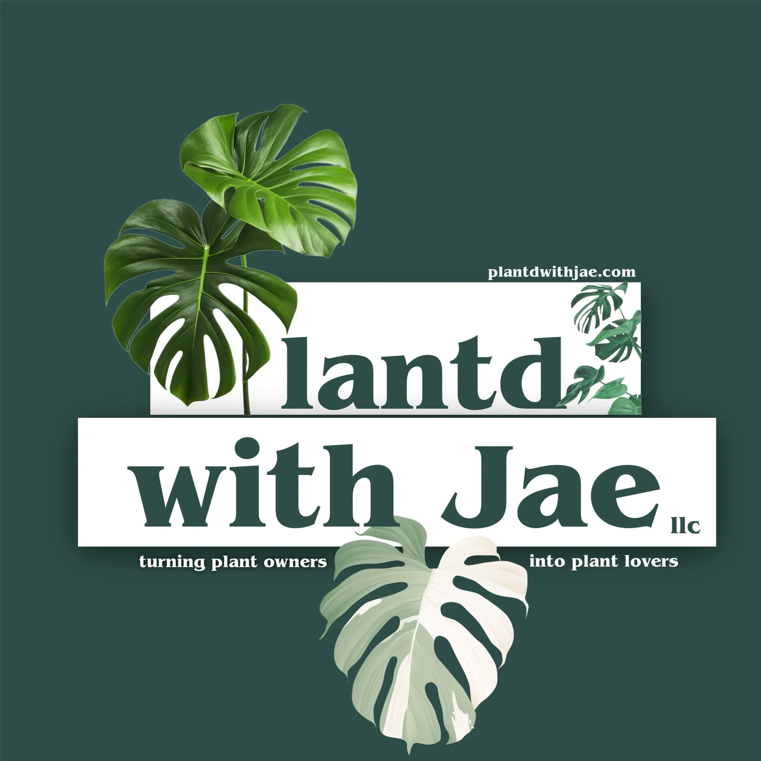 Plantd with Jae llc 