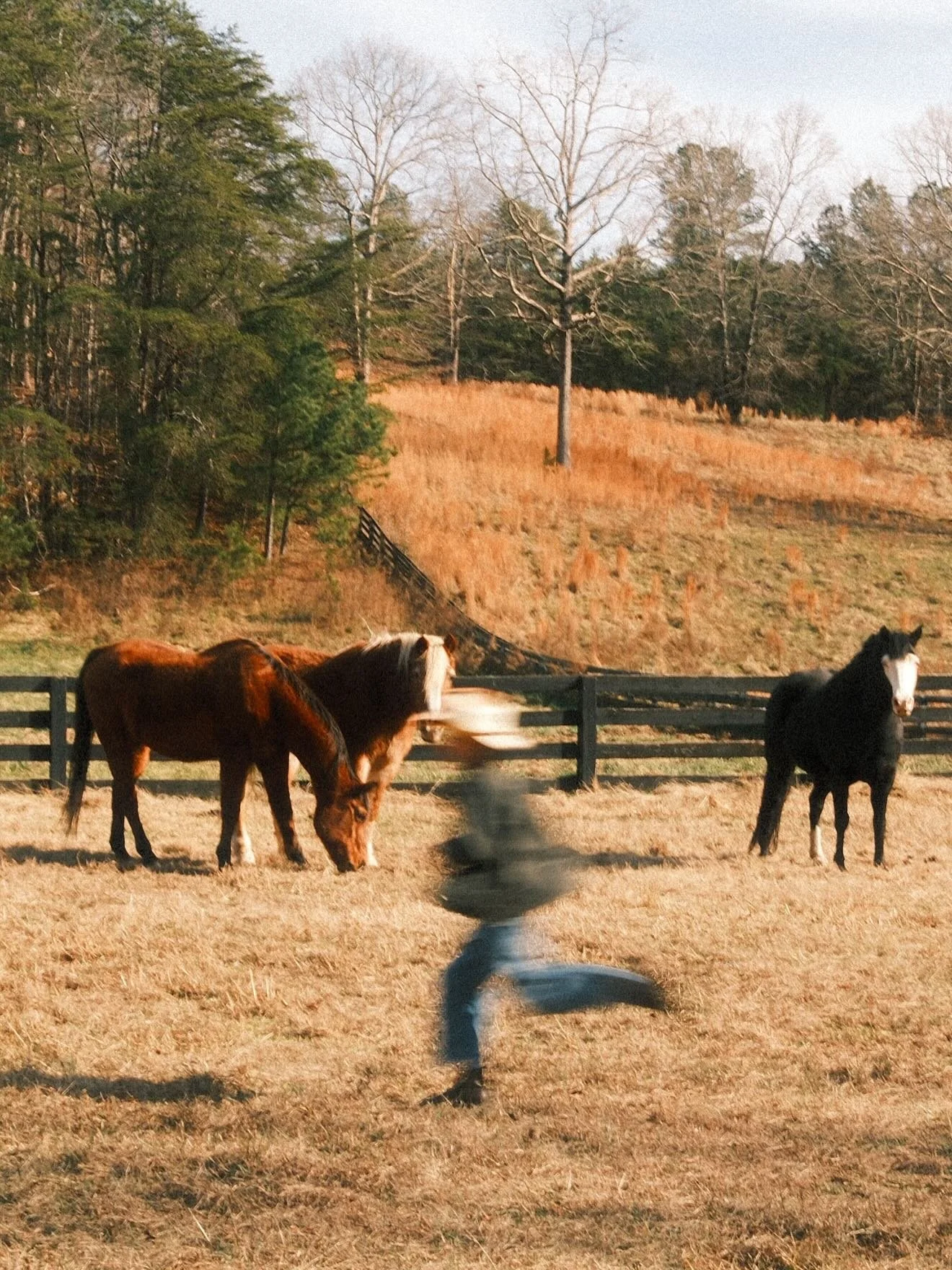 #farmlife in slow motion. 10/10 recommend the #fujifilmx100vi