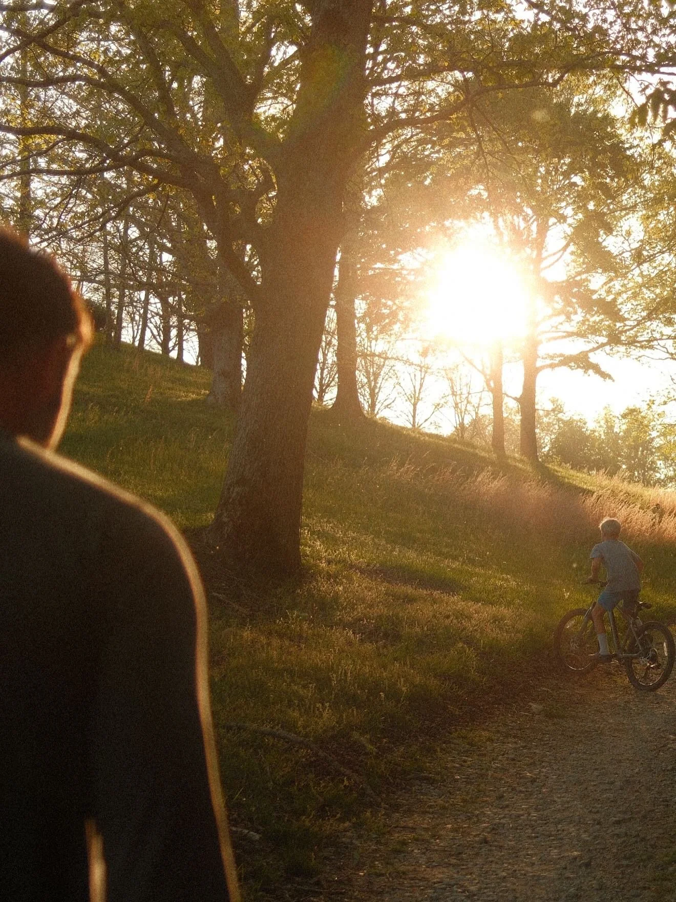 Spring evenings on the farm. 🌅 my favorite time of year.
